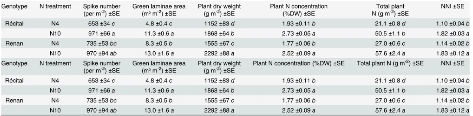 Table 1. Spike number, green laminae area, plant dry weight, plant N concentration, total plant N and Nitrogen Nutrition Index (NNI) at flowering for the two genotypes at two contrasting pre-flowering N treatments