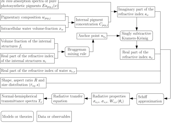 Figure 1: Summary of the presented methodological chain.
