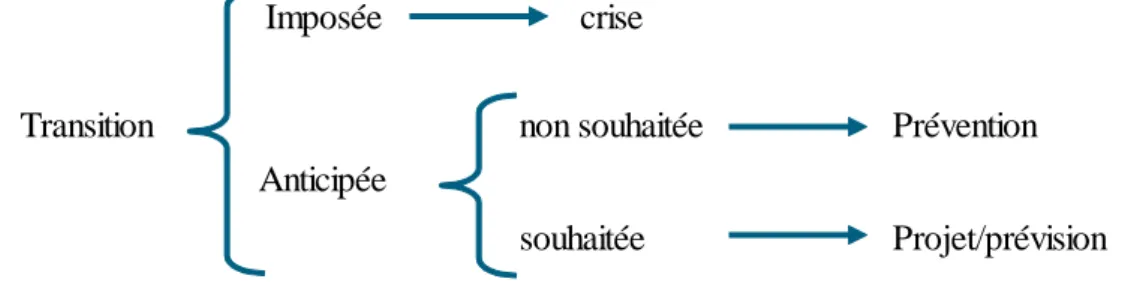 Figure 1 - Les formes de transition dans la vie adulte, Boutinet (2013), p.58. 
