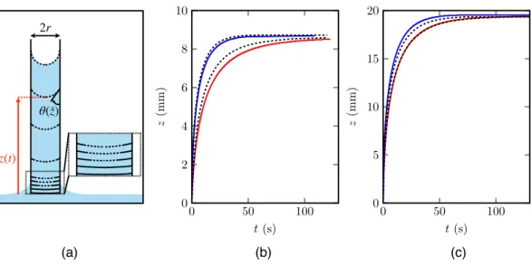 Figure SI5. (a) Meniscus shape at different steps of the rise of a viscous oil (