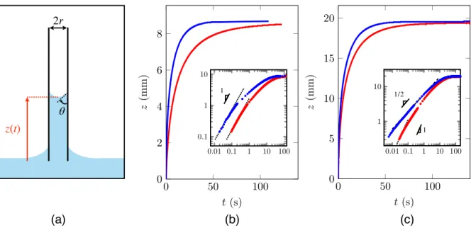 Figure 1.  Rise dynamics in vertical tubes invaded by a viscous wetting oil. Tubes are either dry (red data)  or prewet (blue data)