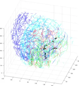 Fig. 5 Tumor growth visualization using rigid registration with manual selection of features