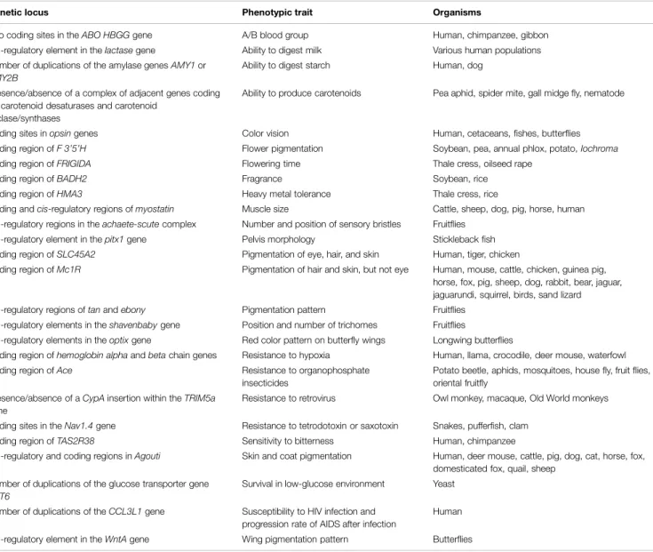 TABLE 1 | A few examples of GP relationships.