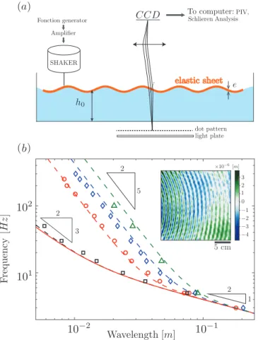 FIG. 1. (a) Sketch of the experimental set-up showing the container filled with water and covered with an elastic sheet, the wave generation device and the imaging system