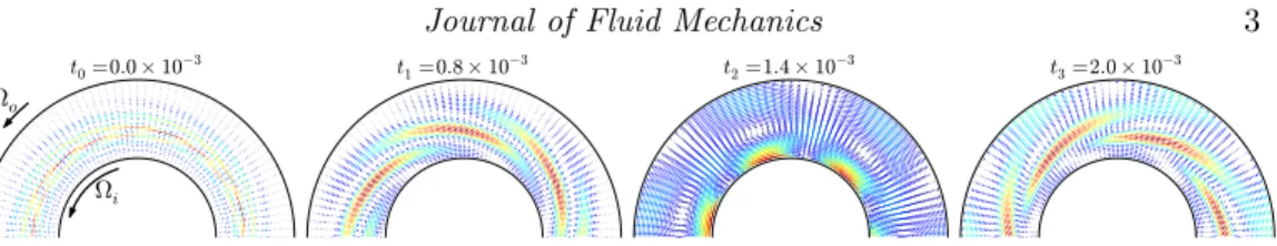 Figure 2. Axial cut of an optimal perturbation in the quasi-Keplerian regime and the evolution from it in time