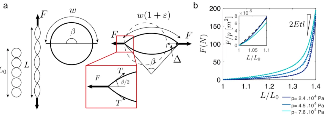 Figure 1: Stretching of the structure perpendicular to the direction of the seam. (a) Schematic cross section of an inflated beam at rest and under traction, with the spanned angle β, the effective strain at the scale of the sheet ε, the net displacement ∆