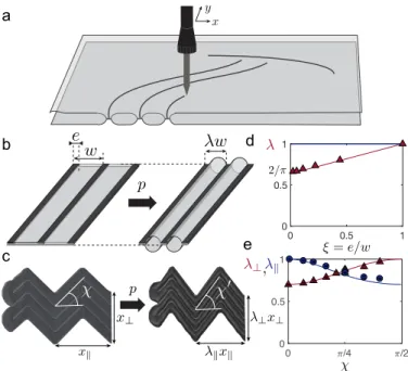 Figure 2 In-plane metric distortion. (a), Two flat superimposed fabric sheets are heat-sealed along any desired path with a heating head mounted on an XY-plotter