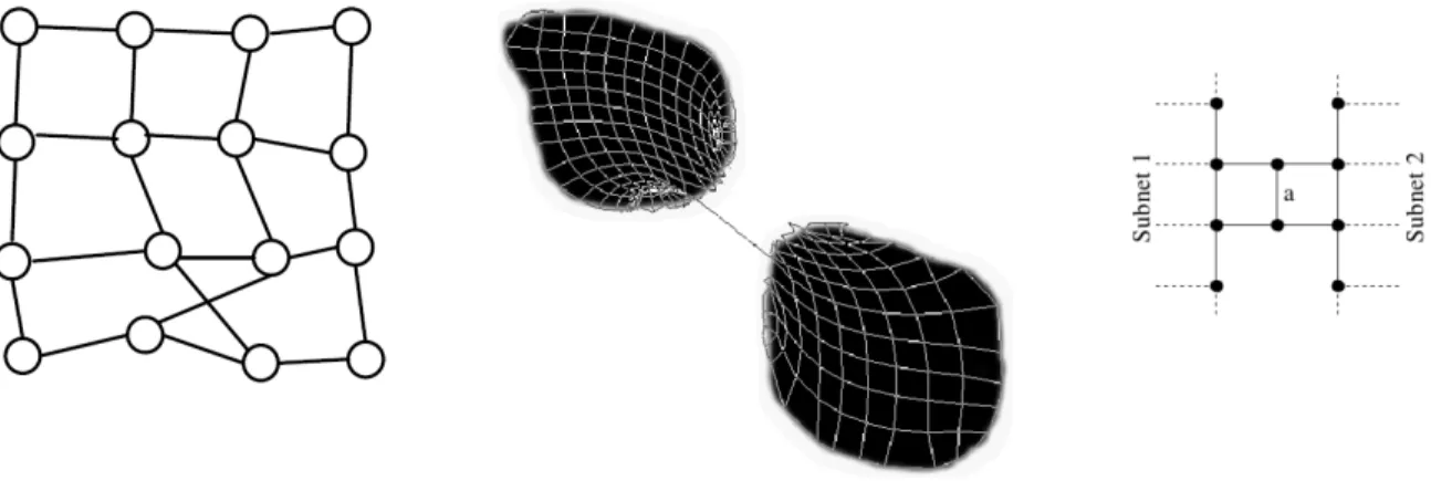 Figure 6: Representation of link crossings and threads in topological active net models.