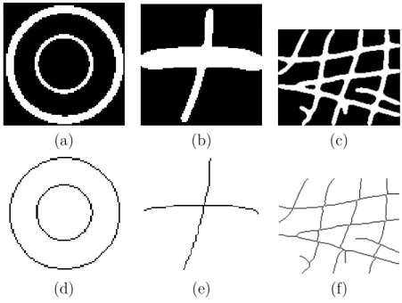 Figure 1.4 – Cas d’amincissement binaire sur images synthétiques : (a) : Image d’anneaux 81 × 81