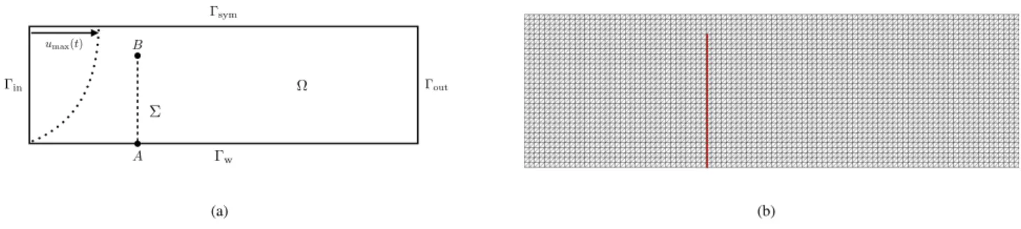 Figure 4 (a) Geometric configuration of the idealized valve without contact, (b) Zoom of the fluid and solid meshes.