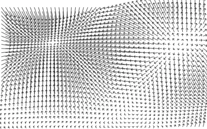 Figure 2.1 – A Vector Field