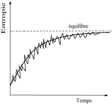 Figure I.11 – Illustration de la croissance de l’entropie ` a grande ´ echelle et ` a petite ´ echelle en fonction du temps.