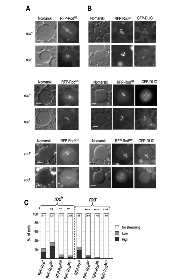 Figure 5 See Legend on next page