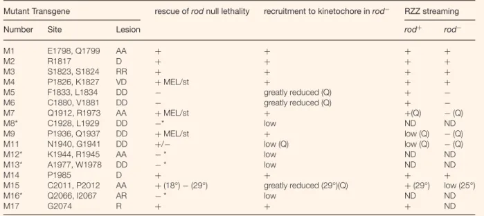 Table 1 Summary of the examined mutations and their phenotypes