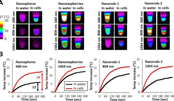 Figure  3:  Nanoparticles  in  aqueous  dispersion  (in  water  situation)  and  cells  containing  nanoparticles (in cells situation) are irradiated with the three lasers, with wavelengths at 680,  808,  and  1064  nm,  always  at  0.3  W/cm²