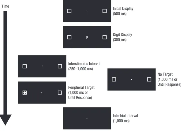 Fig. 1.  Trial structure for target trials and catch trials. The initial display on each trial consisted of a centrally  located white fixation point flanked by two white outline boxes, all on a black background