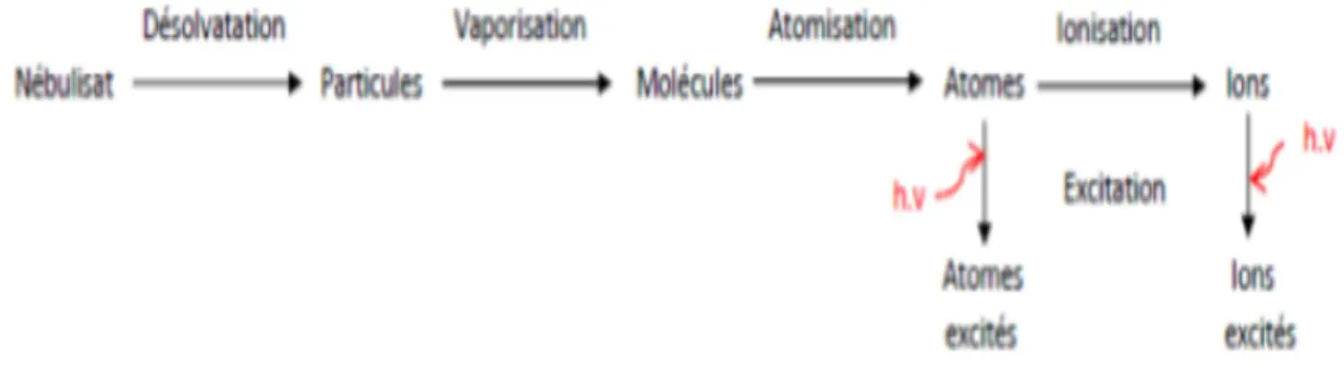 Figure 1.19 Schéma représentant les différents processus lors de l'atomisation et l'excitation 