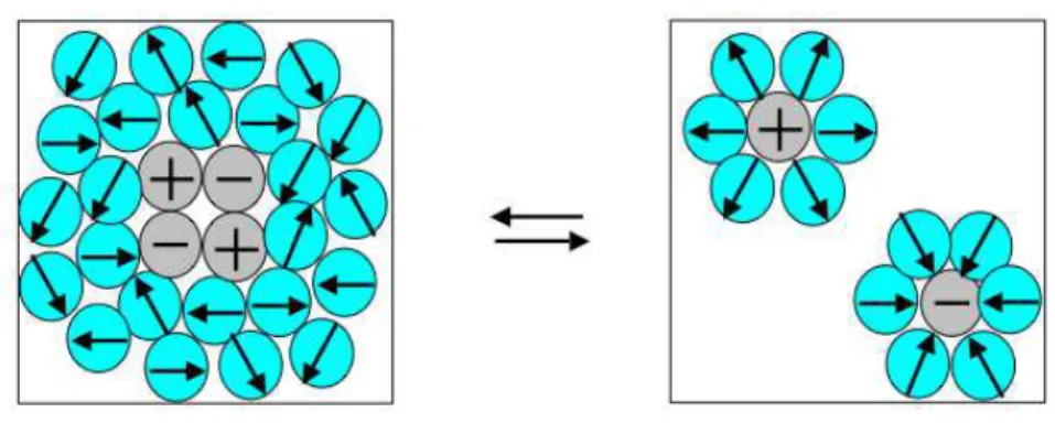 Figure 9 Dissolution of an ionic crystal into water. The polarization of the water dipoles by the ions nearly compensates the loss of electrostatic energy from the ion-ion interactions.