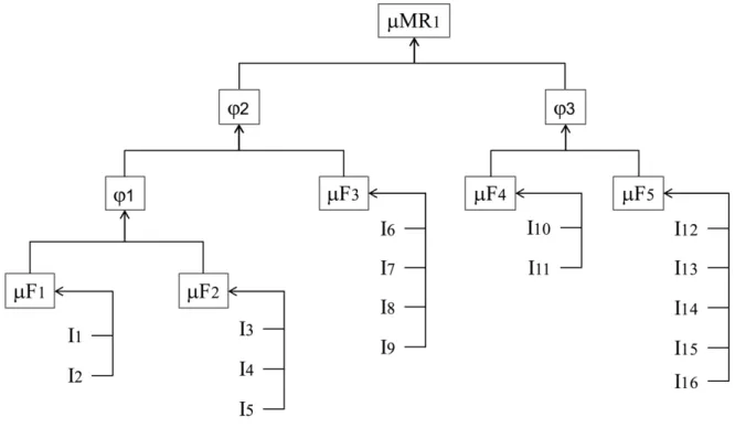 Figure 1. Performance assessment using the hierarchical model - Simplistic representation – I i  indicator i – μ Fj = Performance of Function j – μ MRk = Performance related to failure mode MRk –  φ p = phenomenon Experts  use   performance   assessment   