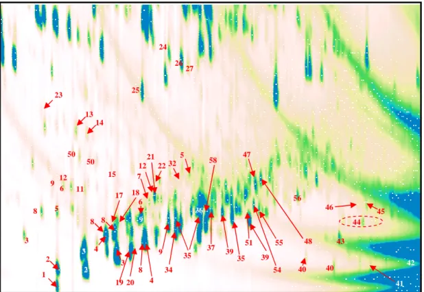 Figure 2-10. 2D contour plot obtained from coal liquid analysis. numbers refer to table 2-4