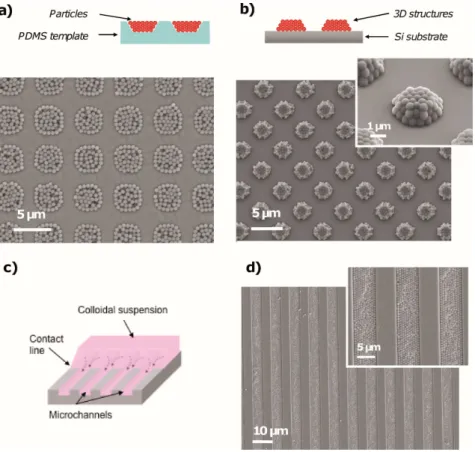 Figure 17: a) Nanoparticules de polystyrène de 500 nm assemblées dans des cavités évasées de 2.5 µm de profondeur sur  du PDMS