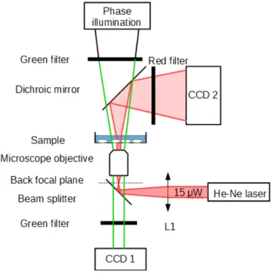 Figure 1. Experimental setup.