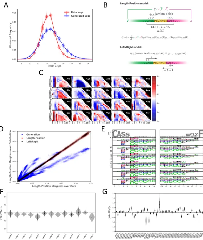 FIG. 4: Thymic selection models of 651 individuals. (A) Length distribution of the Complementarity Determining Region 3 (CDR3) of TRB before (as predicted by the P gen model, in blue), and after (data, in red) thymic selection