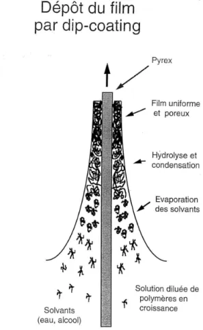 Fig. 1.8  Formation d'un lm mince sol-gel par la technique de dip-coating.