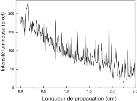 Fig. 2.13  Intensité de la propagation du faisceau laser dans un guide d'onde de T iO 2 .