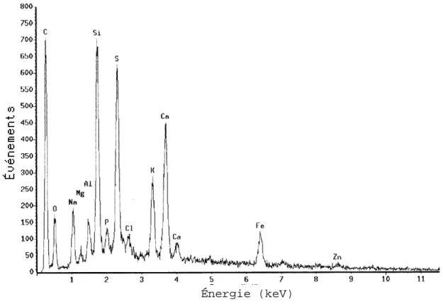 Figure II.7. Spectre de microanalyse d’une zone de filtre correspondant aux particules en paillettes cristallines