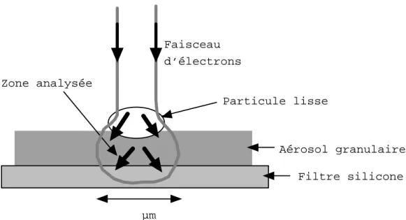 Figure II.8. Schéma de la zone du substrat participant au signal de la micro-analyse