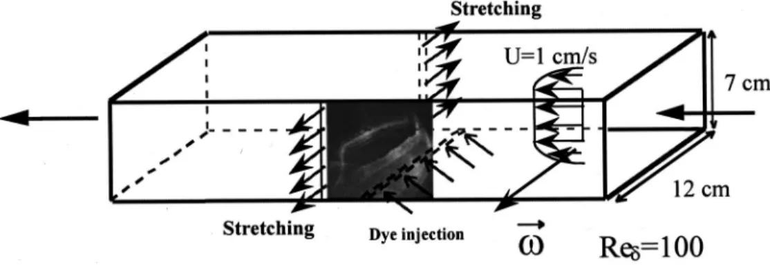 FIG. 1. Experimental setup.