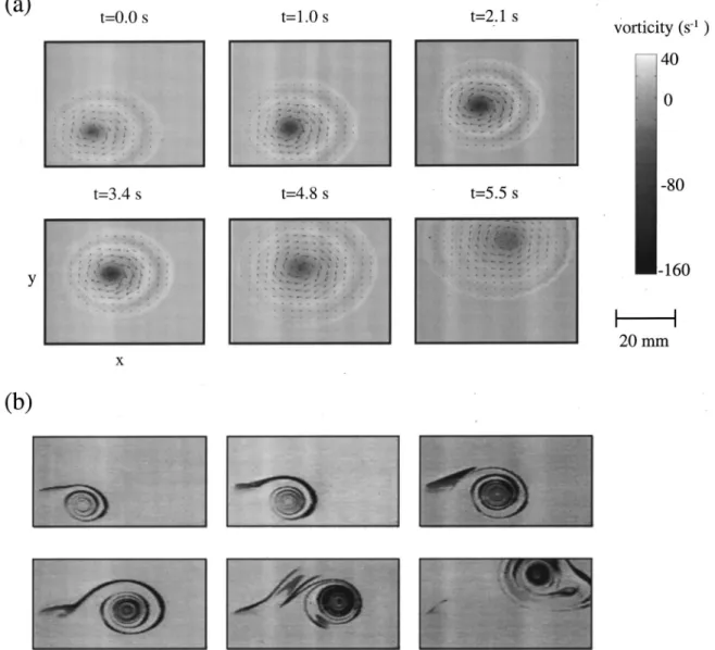 FIG. 11. 共 a 兲 Sequence of pictures showing the vorticity field 共 gray level 兲 , the velocity field 共 arrays 兲 and the motion of the vortex