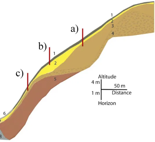 Figure 8 : Localistation des transects d'étude en rapport avec  l'organisation de la couverture pédologique dans le pâturage n°4 