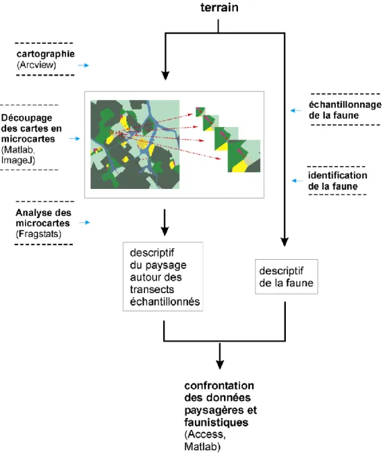 Figure 19 : Protocole pour préparer les données de l'étude de l'influence  de la structure du paysage 