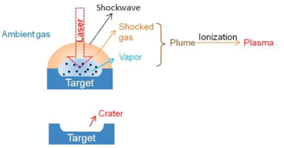 Figure 1.2 Illustration of  the spatial structure of  laser-induced plasma in ambient  gas [51]
