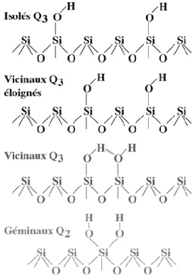 Figure  1.7 :   Représentation  schématiques  des  différents  types  de  groupements  silanol  présents à la surface dune silice