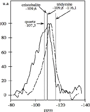 Figure  1.10:   Spectres  29 Si   RMN-MAS  pour  une  silice  pyrogénique  Degussa  A200    et  une  silice de précipitation Z175 de Rhône-Poulenc, daprès LEGRAND (1993)