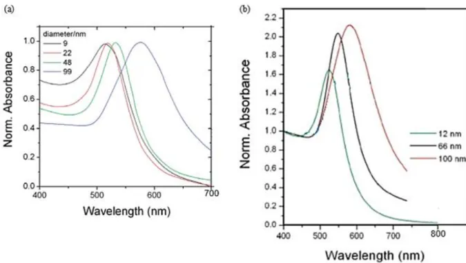 Figure 5: Extinction spectra of different gold nanospheres sizes (a) normalized at the plasmon peak 12  and (b)  normalized at 400 nm 13 