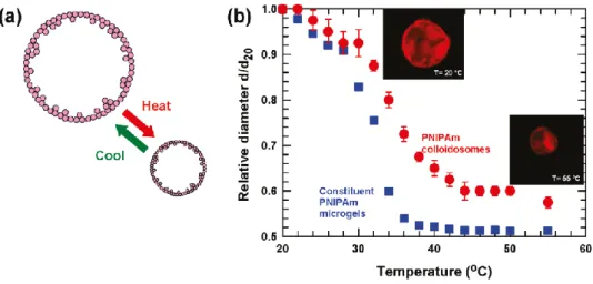 Figure 55: (a) Schematic illustration of thermo-responsive PNipam colloidosomes. (b) Relative diameter of PNipam  colloidosomes and of PNipam particles as a function of the temperature 126 