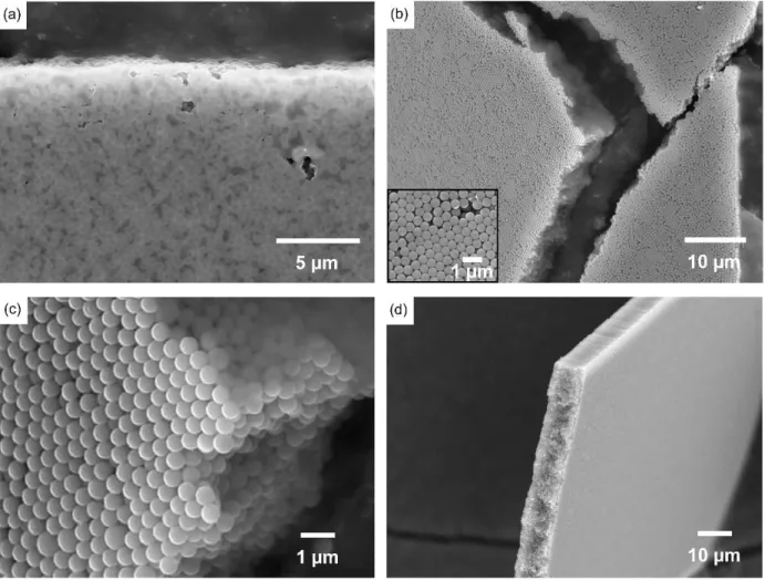 Figure 73: SEM images of microevaporated 1 % dialyzed latex beads (a-c) and 2 wt% (d)