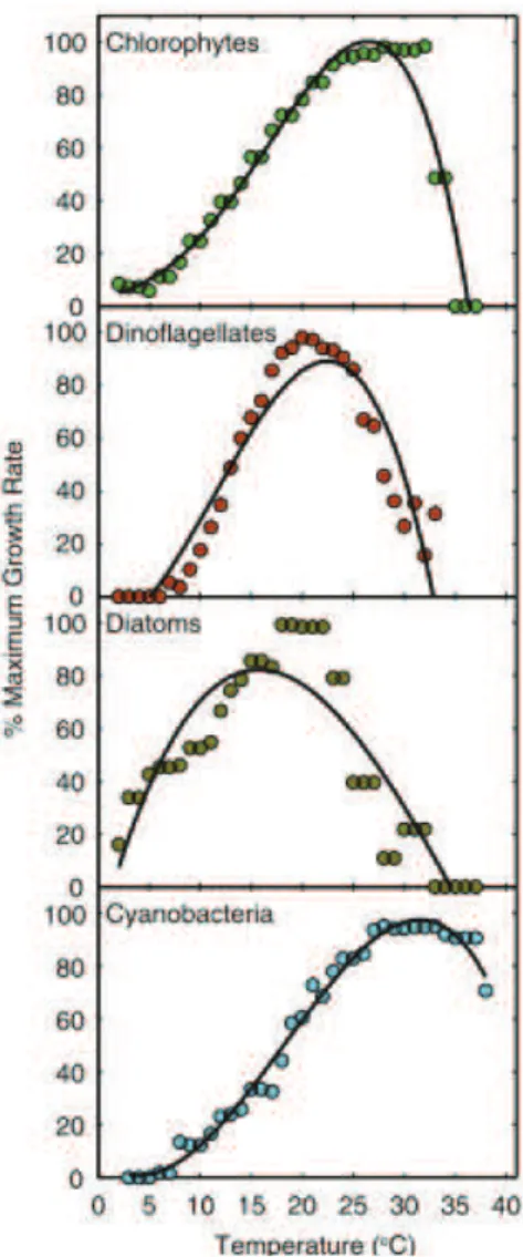 Figure  I.  3.:  Taux  maximum  de  croissance  pour  quatre  groupes  taxonomiques  de  phytoplancton:  les  Cyanobactéries,  les  Chlorophycées,  les  Dinoflagellés  et  les  Diatomées  en  fonction  de  la  température