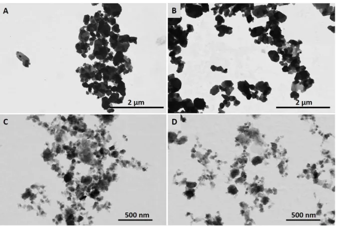 Figure 25. Micrographies STEM des particules de kaolinite (A, B) et d'illite (C, D) 
