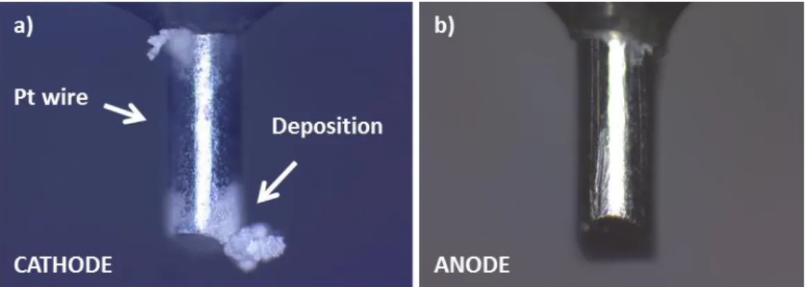 Figure 26: Pt wire electrodes after silver nanoparticle synthesis using the PLI process