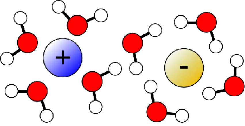 FIGURE 1.5 : Représentation schématique de l’orientation des molécules d’eau en fonction de la nature de l’ion  solvaté.