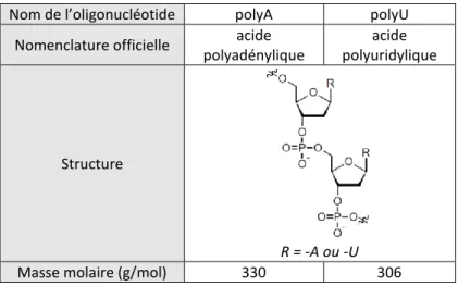FIGURE 2.4 : Noms, structures et masses molaires des deux oligonucléotides utilisés au cours de ce travail