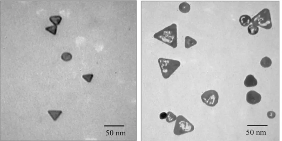 Figure 2.15 : TEM image of Au-framed Ag nanoprisms obtained by the addition of the  optimal amount (left) and an excess of the gold salt (right)