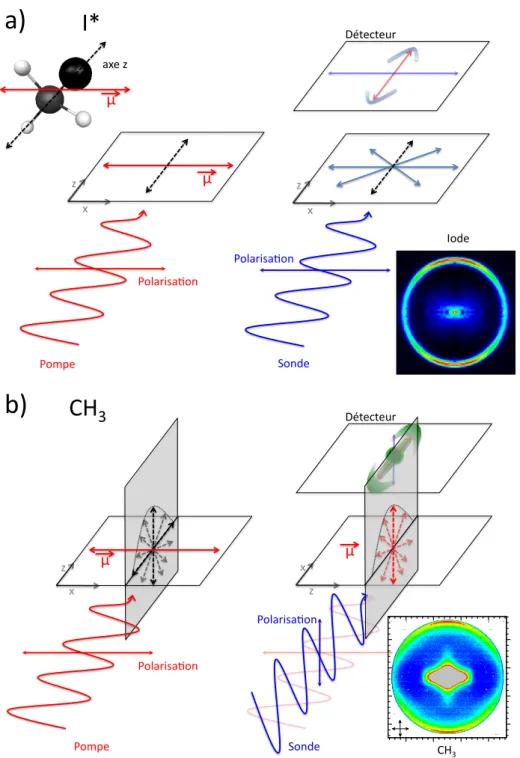 Figure 3.5: Sch´ ema d’excitation de CH 3 I et d’ionisation de l’iode (a) et de CH 3 (b)