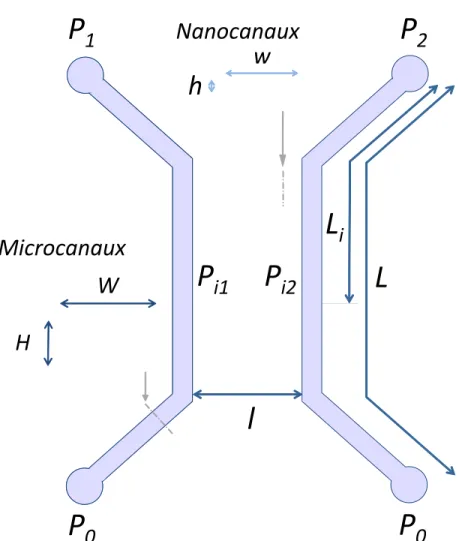 Figure 1.1 – Schéma du motif d’un dispositif micro-nanofluidique en verre (+/- 50 mBar) pour les régulateurs ITV 2050 SMC.