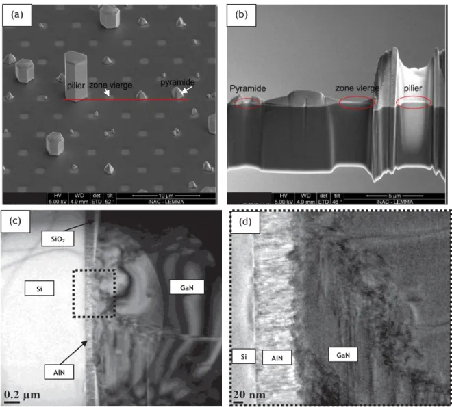 Figure 2.6 - Analyse structurale d'un échantillon de microfils de GaN / AlN / Si.  